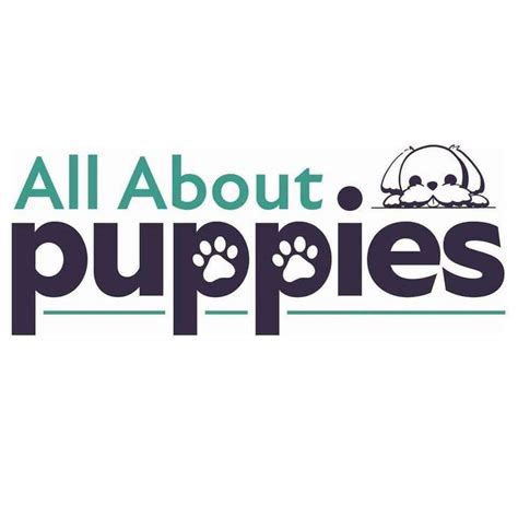 Lancaster puppies better business bureau - Puppies for Sale: Built on Love. We have puppies for sale near you, including all types of breeds! Find cute dogs available for adoption & bring your puppy home from a reputable …